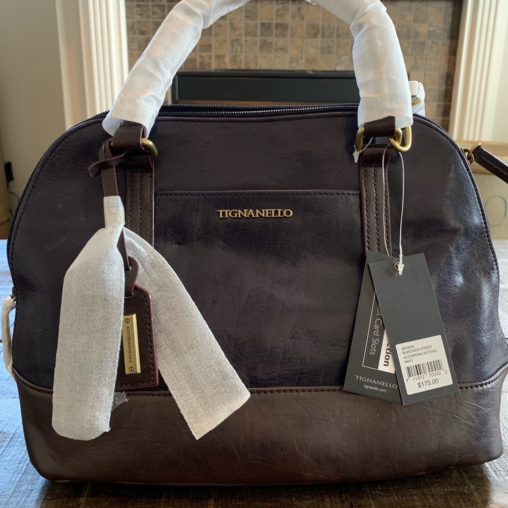 Tignanello Bleeker Street Accordian Satchel